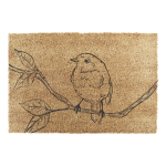 Kookoskiududest matt 40x60 cm Pencil Robin - Artsy Doormats