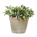 Terrakota potti - Esschert Design