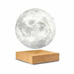 LED laualamp (k&otilde;rgus 14 cm) Moon &ndash; Gingko