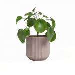 Keraamiline lillepott &oslash; 19 cm Luna - Artevasi