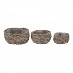 &Otilde;lest lillepoti katted komplektis 3 tk &ndash; Ego Dekor