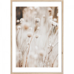 Plakat raamis 50x70 cm Beige I - Styler