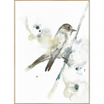 Maal 50x70 cm Bird - Malerifabrikken