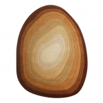 Tellisev&auml;rvi villane vaip 200x290 cm Puddle Ombre Wool - Flair Rugs