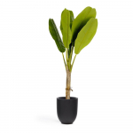 Kunstpalm (k&otilde;rgus 160 cm) Baa - Kave Home