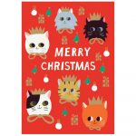 Tervituskaartide komplekt 5 tk j&otilde;ulumotiiviga Starflower &ndash; Roger la Borde