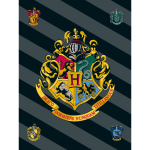 Fliisist lastetekk 100x150 cm Harry Potter - Jerry Fabrics