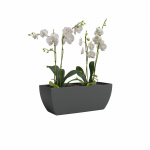Taaskasutatud plastikust karp 30 cm Siena - Artevasi