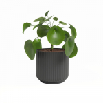 Keraamiline lillepott &oslash; 15 cm Luna - Artevasi