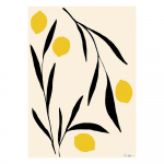Plakat 50&times;70 cm Lemon &ndash; The Poster Club