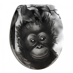 WC iste , 44,5 x 36,5 cm Ape - Wenko