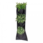 Kangast lillealus (k&otilde;rgus 70 cm) Pocket &ndash; Garden Pleasure