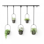 Plastikust lillepoti katted 5tk komplektis maitsetaimedele/riputamiseks &oslash; 7,5 cm Triflora &ndash; Umbra