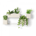 Rippuvad plastikust maitsetaimede potidm 4tk komplektis Cubiko - Umbra