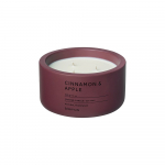 L&otilde;hnastatud sojak&uuml;&uuml;nal, p&otilde;lemisaeg 25 h Fraga: Cinnamon & Apple &ndash; Blomus