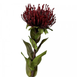 Kunstlill (k&otilde;rgus 74 cm) Protea - Ego Dekor