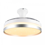 Valge-h&otilde;bedane LED laevalgusti Lindberg - Reality