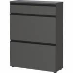 Antratsiitne kingakapp 80x107x29 cm Baldone - Germania
