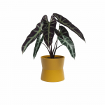 Keraamiline lillepott &oslash; 14 cm Diana - Artevasi