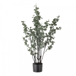 Kunst eukal&uuml;ptus (k&otilde;rgus 117 cm) - Bloomingville