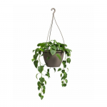 Plastikust lillepott &oslash; 31 cm Algarve - Artevasi