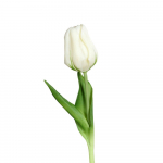Kunstlill (k&otilde;rgus 20 cm) Tulip - Ego Dekor