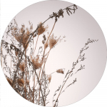 Maal 70x70 cm Everlasting - Malerifabrikken