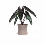 Keraamiline lillepott &oslash; 14 cm Diana - Artevasi