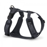 Tumehallid traksid, suurus S pikkus 30 cm Modena Asphalt S - MiaCara