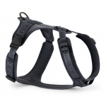 Tumehall traksid L pikkus 42 cm Modena Asphalt L &ndash; MiaCara