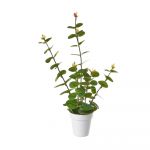 Kunstlill - Casa Selecci&oacute;n