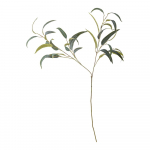 Kunst eukal&uuml;ptus (k&otilde;rgus 101 cm) - Bloomingville