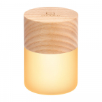 Dimmerdatav LED laualamp klaasist varjuga (k&otilde;rgus 6 cm) Lemelia &ndash; Gingko