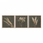 Maalid 3tk komplektis 30x30 cm Pampas &ndash; Styler