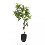 Kunsttaim (k&otilde;rgus 180 cm) Pachira - Kave Home