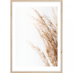 Plakat raamis 50x70 cm Beige II - Styler
