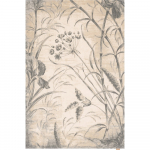 Kreem villane vaip 300x400 cm Botany - Agnella
