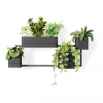 Plastikust rippuvad taimepotid maitsetaimede jaoks 4 tk komplektis Cubiko &ndash; Umbra