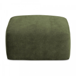 Roheline &scaron;enillist jalatugi Leila - Makamii