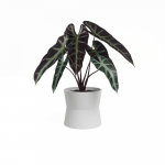 Keraamiline lillepott &oslash; 14 cm Diana - Artevasi