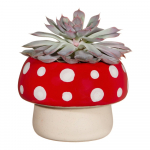 Kiviplaat lillepoti kate &oslash; 12 cm Mushroom &ndash; Sass & Belle