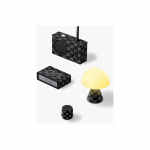 Kinkekomplekt Lexon x Jean-Michel Basquiat - Crown - Lexon