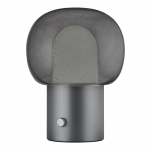 Antratsiitne alumiiniumist LED laualamp klaasist varjuga (k&otilde;rgus 32 cm) Iris - Blomus