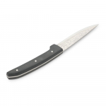 Mustad/h&otilde;bedased terasest steikinoad 4-osalise komplektiga Carne - BonBistro