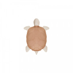 Beebipadi Turtle - Lorena Canals