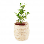 Hoiukorv, &oslash; 30 cm Lhassa - Compactor