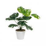 Kunstlik monstera (k&otilde;rgus 38 cm) - Casa Selecci&oacute;n