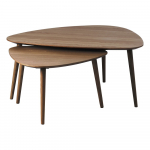 Pruunid tammepuidust diivanilauad 2 tk 70x100 cm komplektis Adda - Unique Furniture