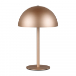 Pruun LED-laualamp metallvarjuga (k&otilde;rgus 21 cm) Munoz - Reality