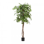 Kunstlik viigipuu (k&otilde;rgus 180 cm) Ficus - Kave Home